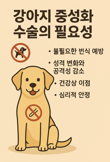 강아지 중성화 수술의 필요성 이미지