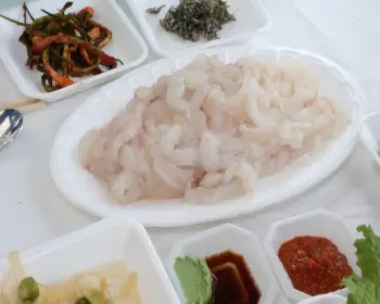 서천 자연산 광어 도미축제_23