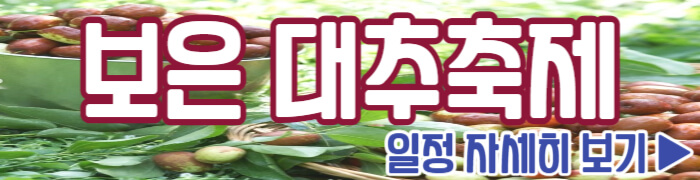 보은 대추축제 일정