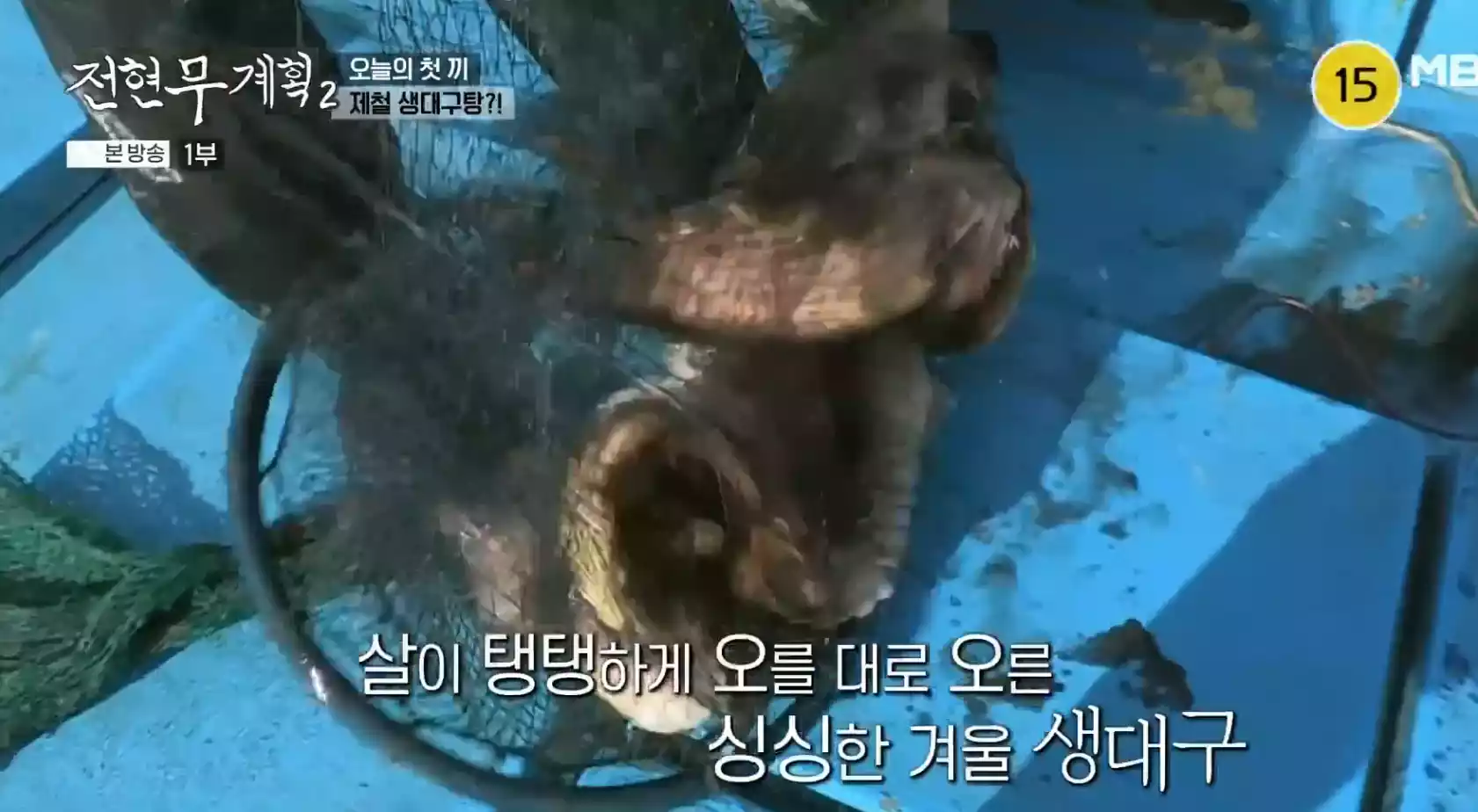 생대구