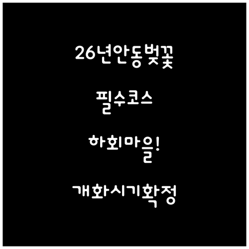 2026년 안동 벚꽃 개화 시기 및 ..