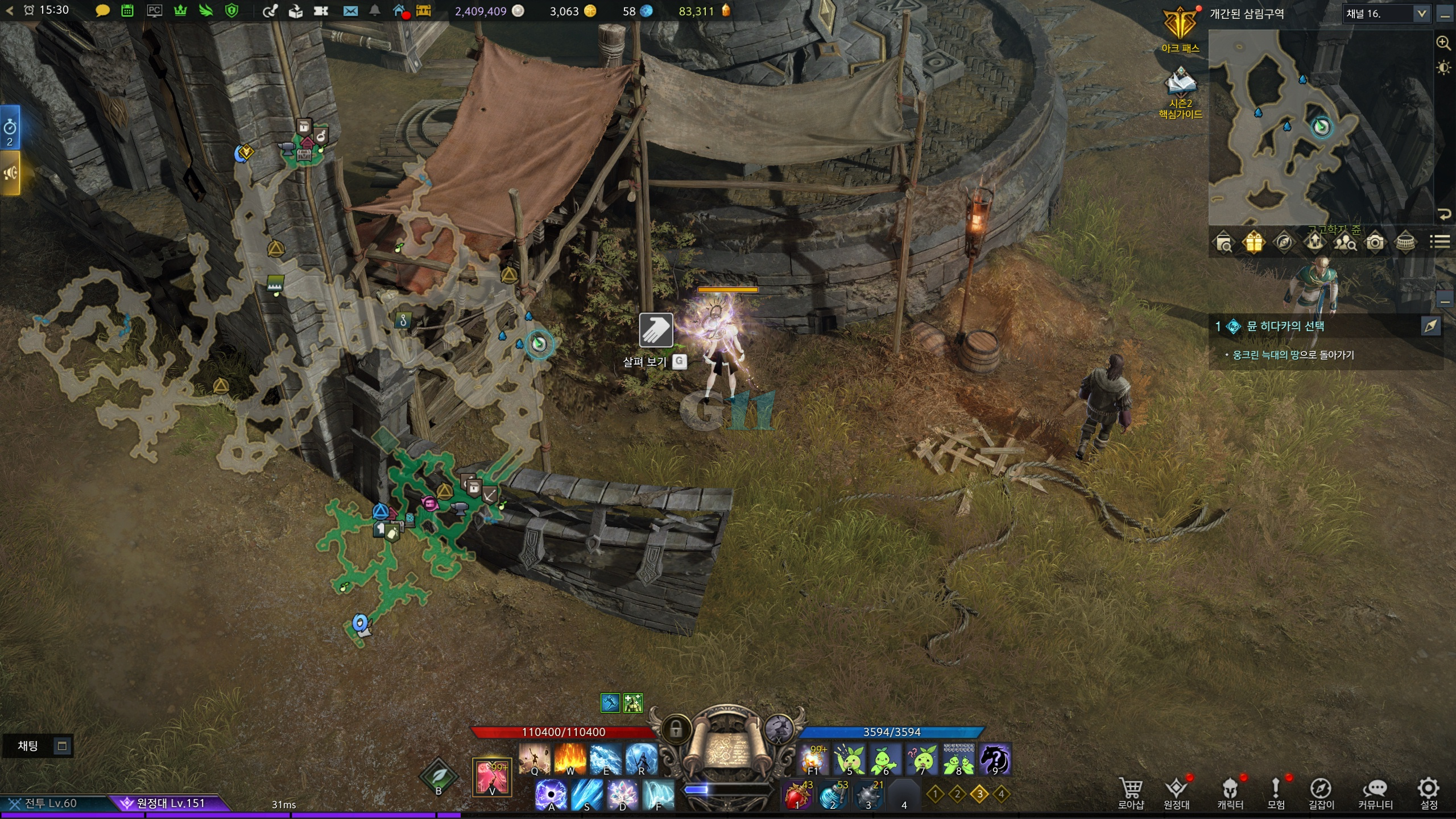 어금니의강 모코코