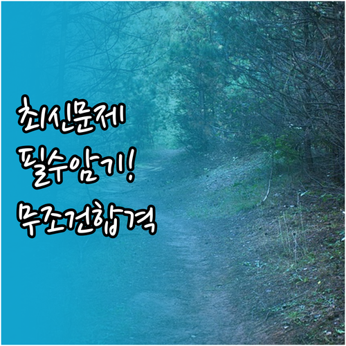 운전면허 학과시험 문제은행부터 합격 ..