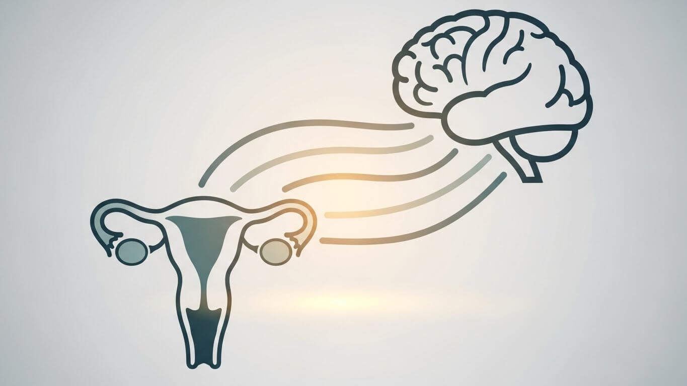 1. 프로게스테론이란? 여성에게 중요한 이유