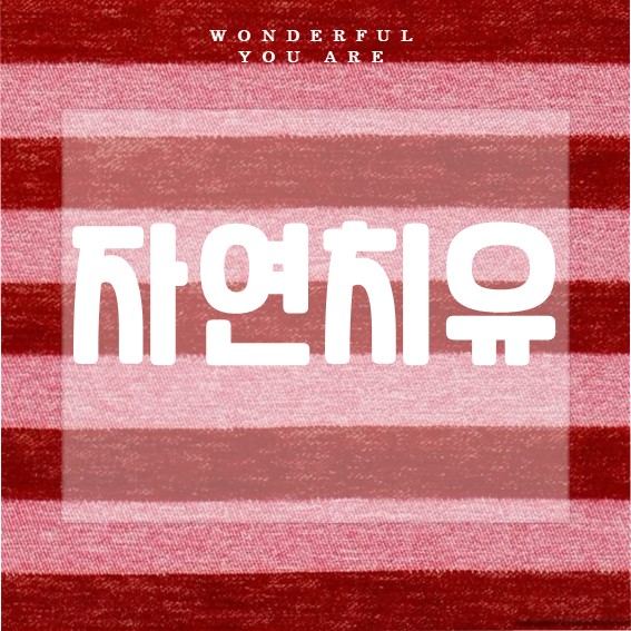 자연 치유 핵심 가이드: 건강과 힐링의 모든 것