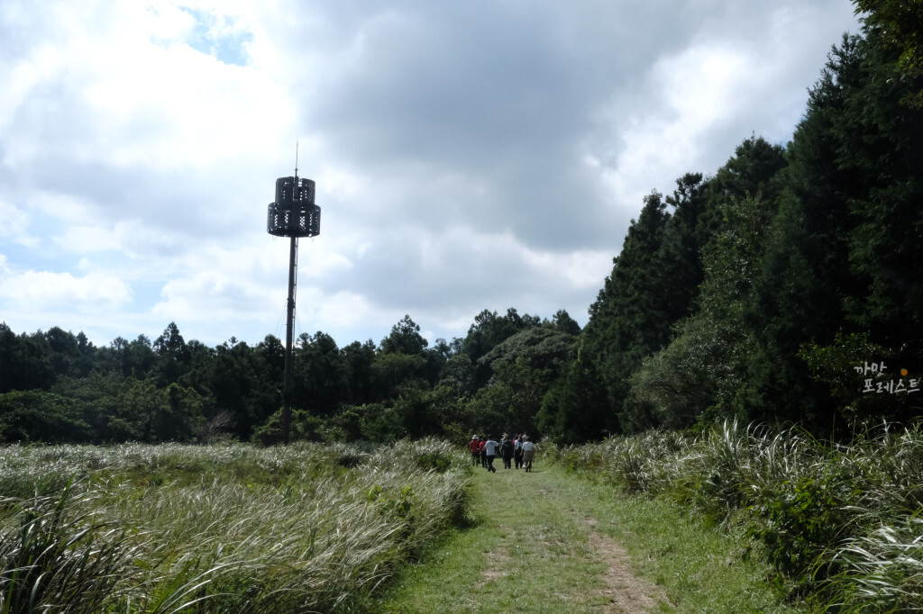 거문오름 분화구 가는길