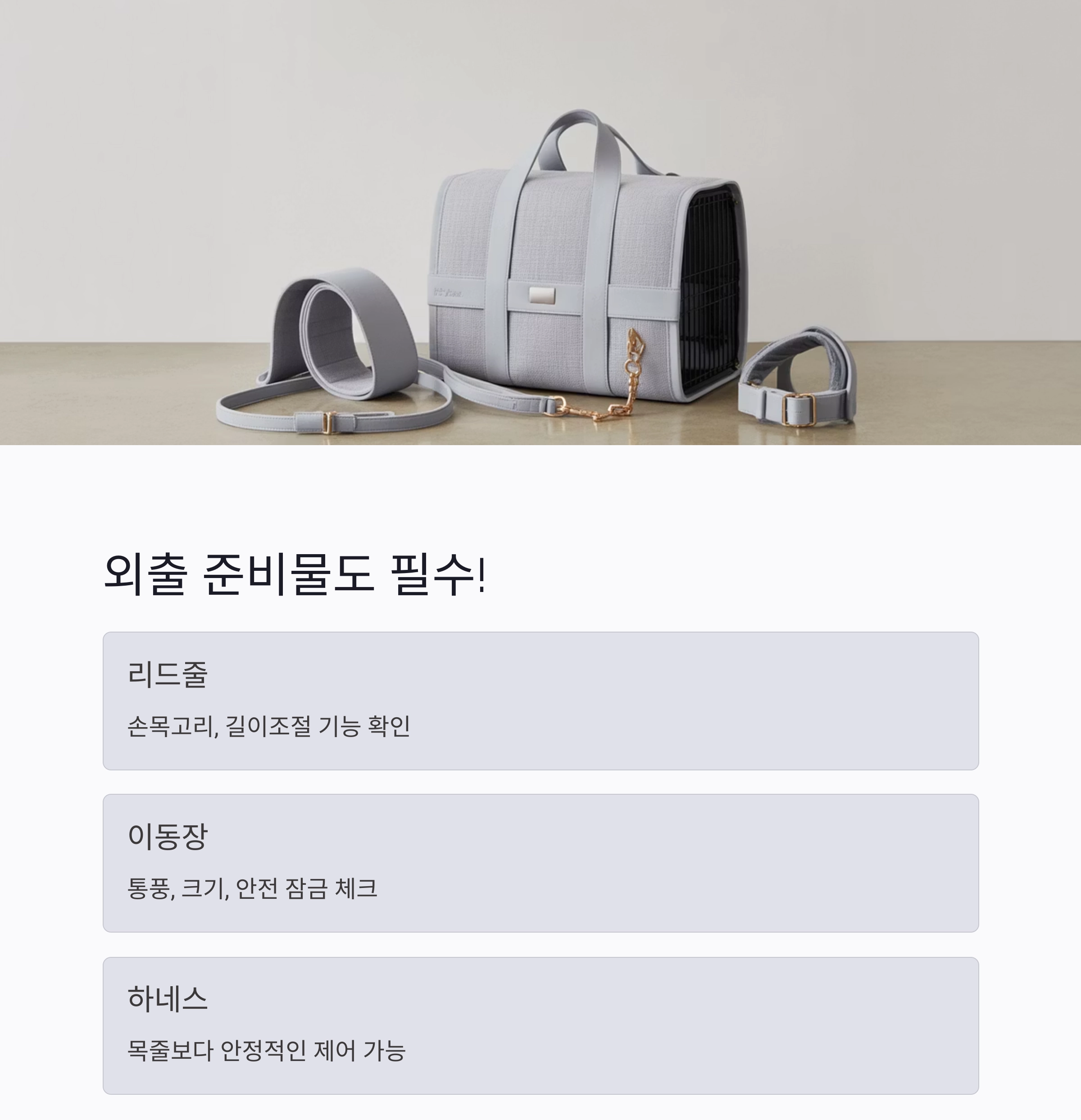 반려동물 초보 집사를 위한 필수템 완벽 가이드