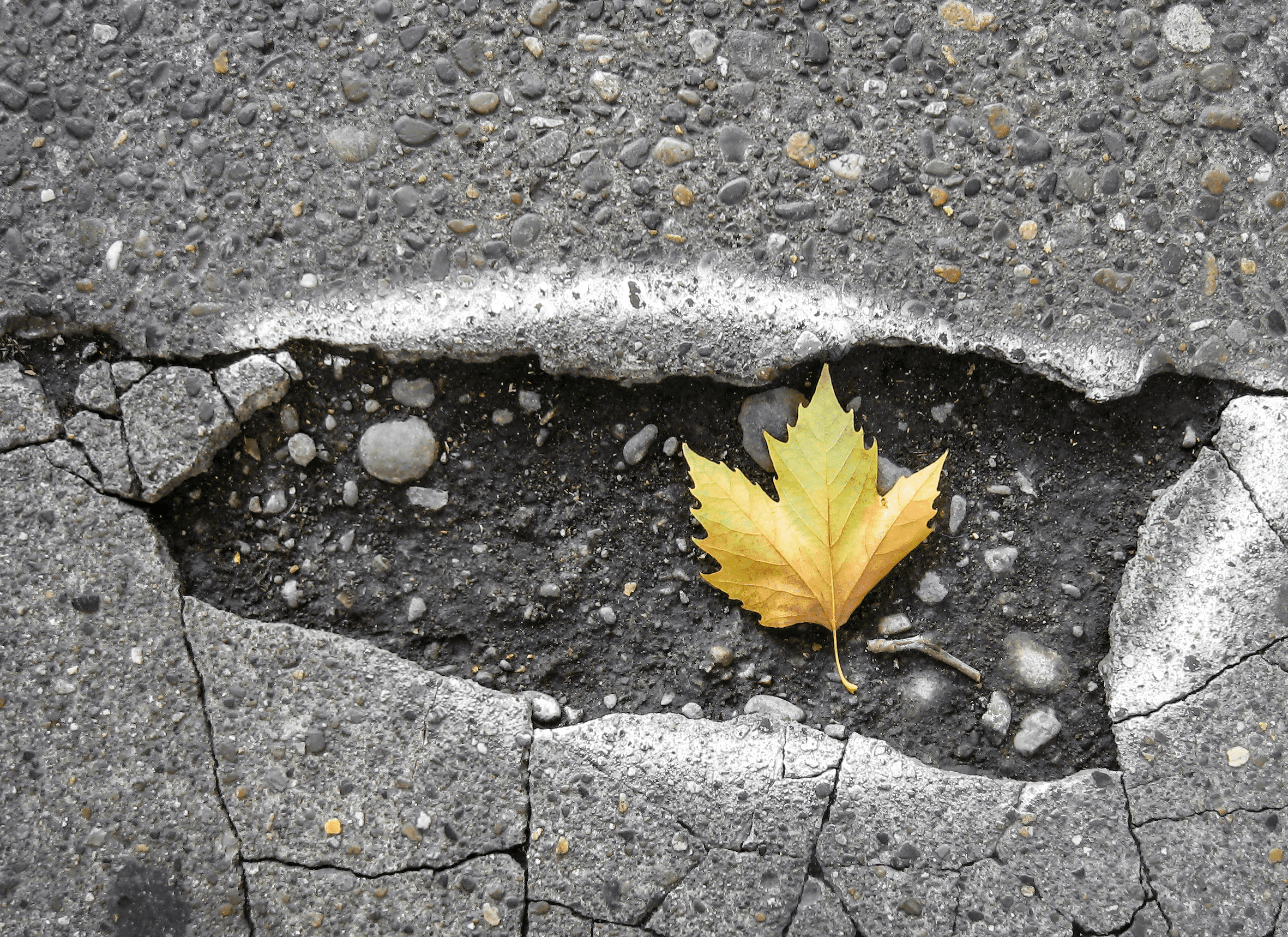 포트홀 사고보상 방법