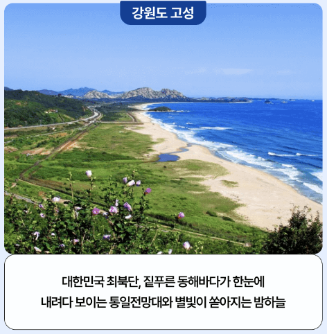 국내 항공권과 카모아 렌트카 할인 (3월 여행가는 달)