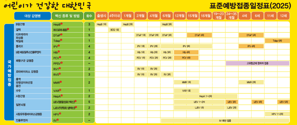 예방접종일정표