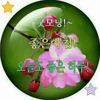 아침인사 이쁜글 다운로드_20