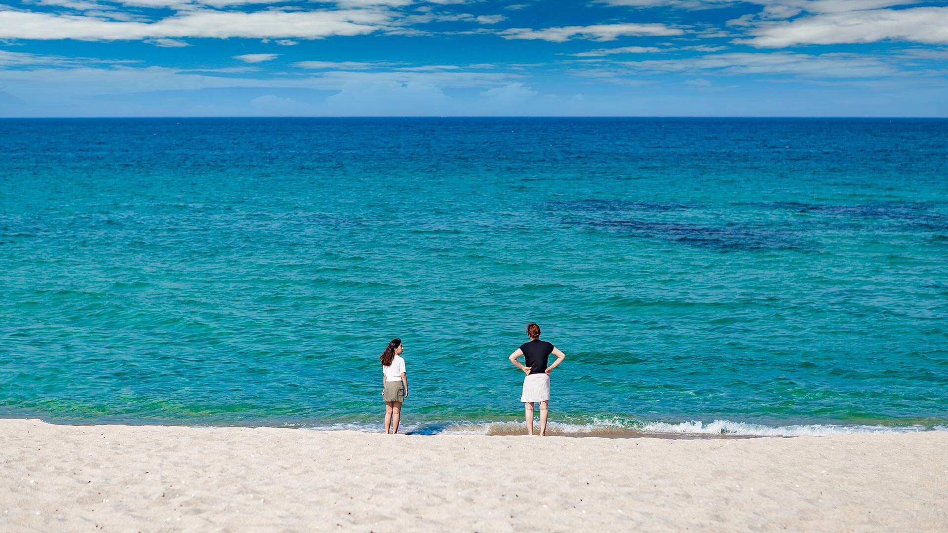 강릉 사근진 해변 유채꽃밭