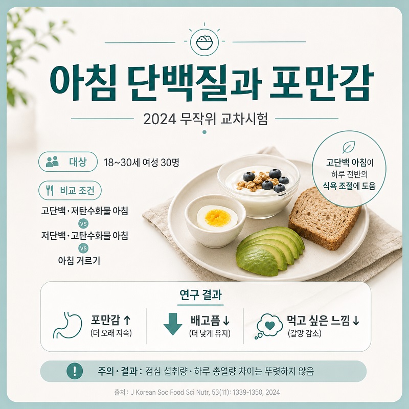단백질이 적은 아침 식사와 단백질이 충분한 아침 식사의 포만감 차이를 표현한 인포그래픽