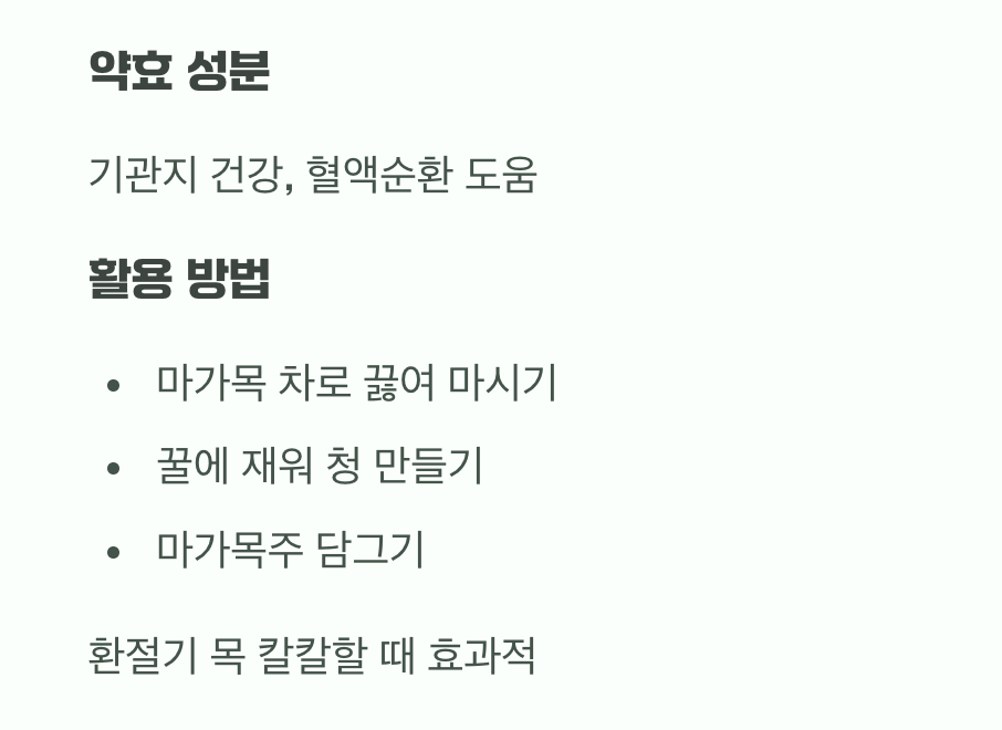 비결 4. 가을의 붉은 보석, '열매' 활용법