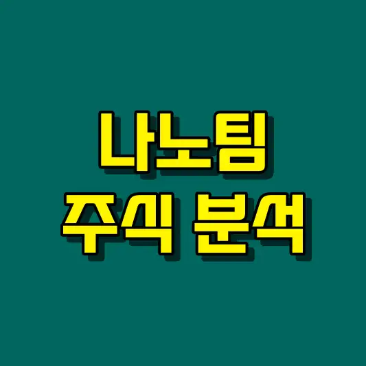 나노팀 주식 분석