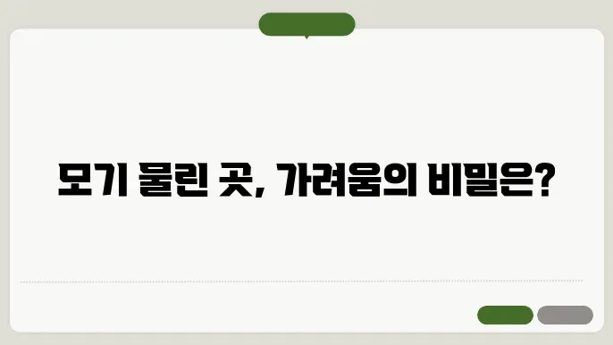 모기 회피 시 예방 방법