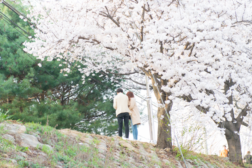 달달한 연인