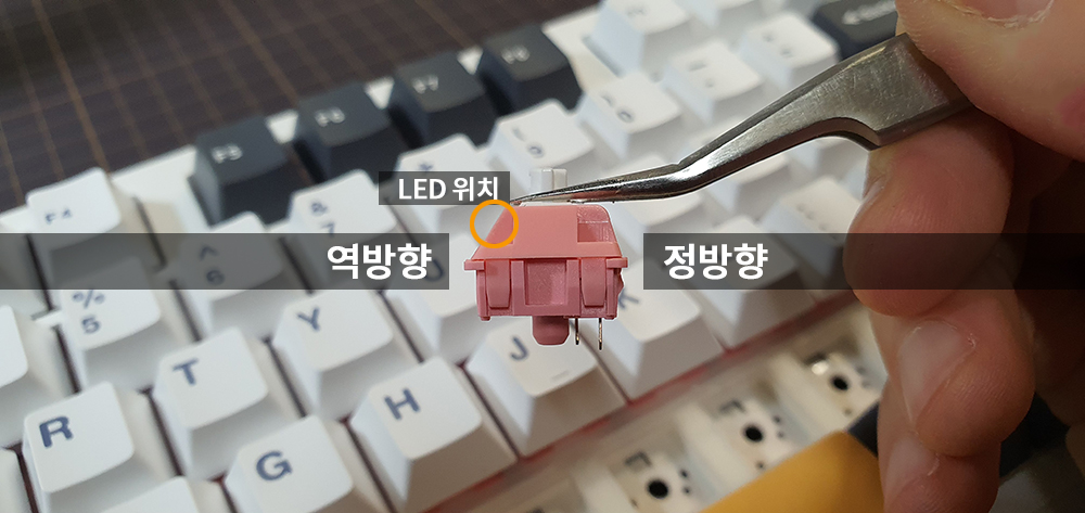 스위치-정방향-역방향