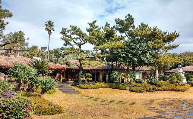 제주전통집 사진