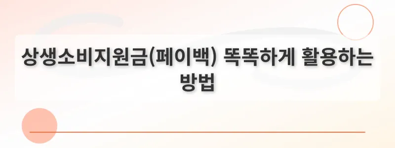 상생소비지원금(페이백) 똑똑하게 활용하는 방법