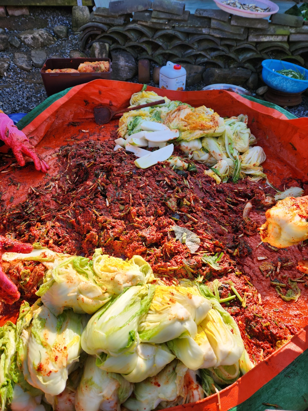 빨간 김장매트 위에 김치 속, 배추 고무장갑 손