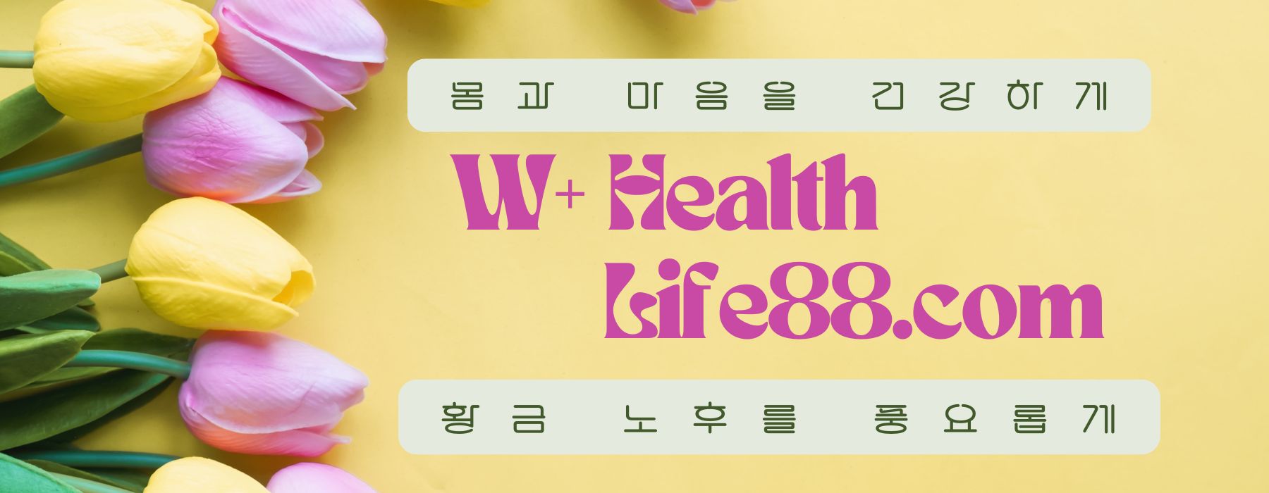 블로그 주인장의 로고 이미지