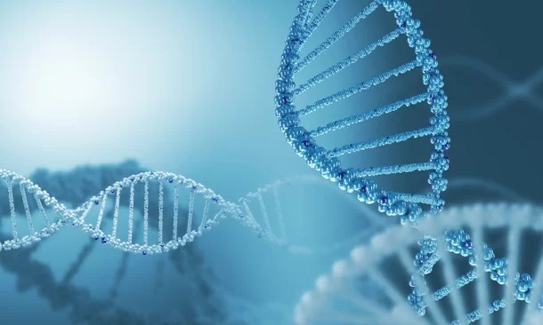 뇌 먹는 아메바 감염