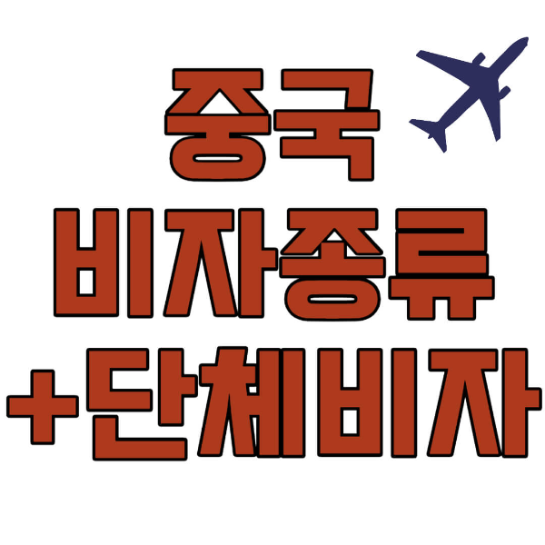 중국 비자종류