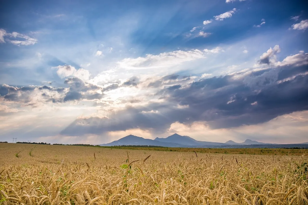 변화가 따라오는 시간차