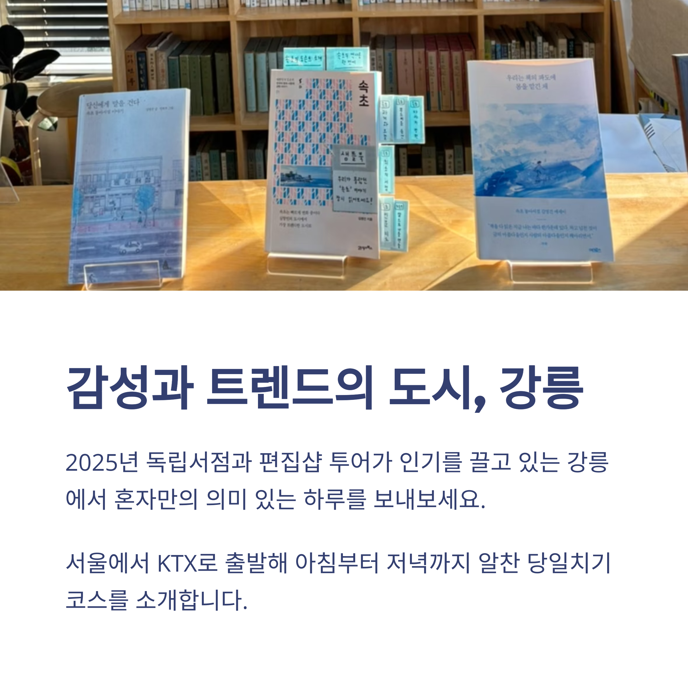 감성과 트렌드의 도시, 강릉