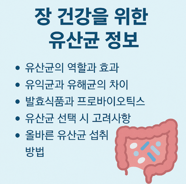 장 건강과 유산균