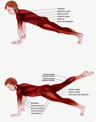 The Leg-Pull Front (레그풀 프론트)