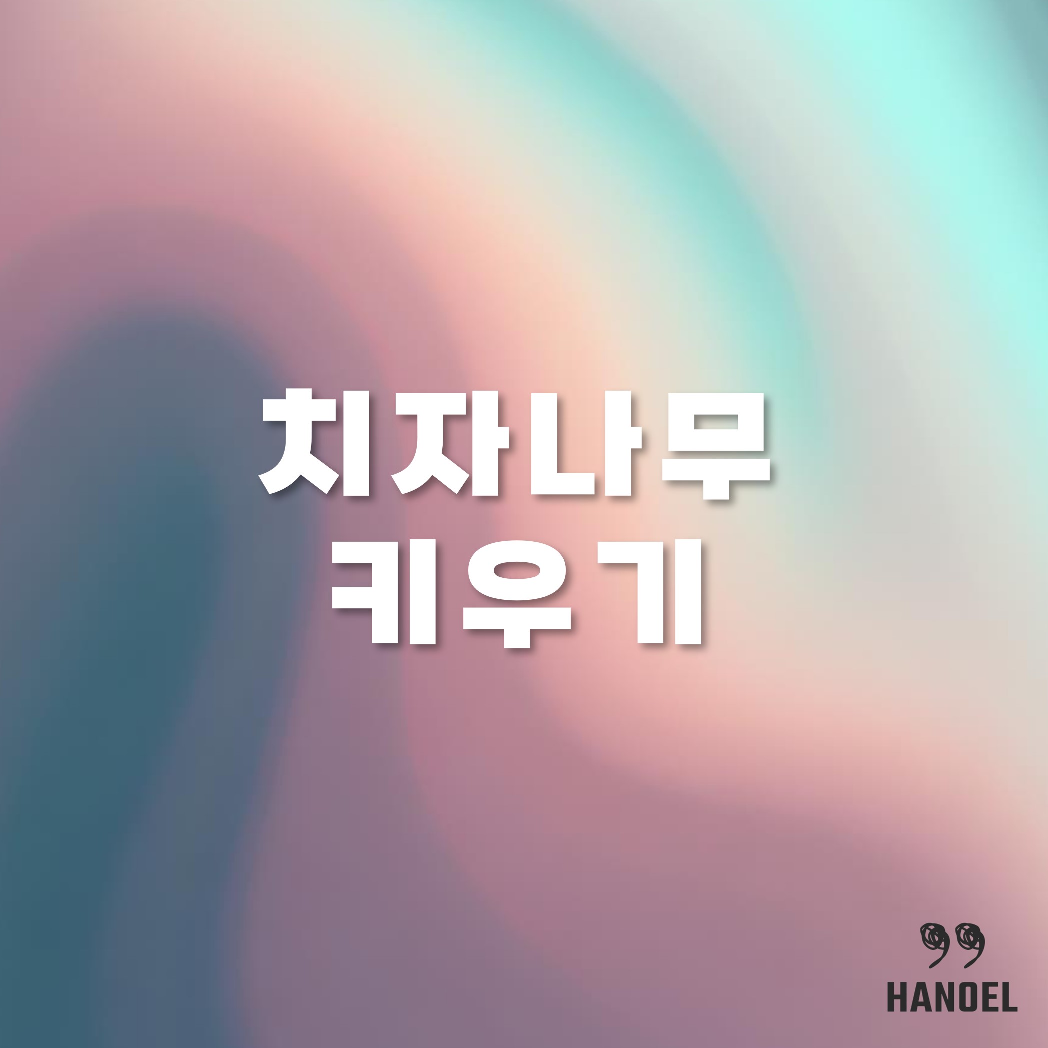 꽃치자나무 열매치자나무 키우기 가지치기 물주기