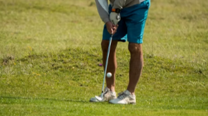 스포츠 바우처 사용기간