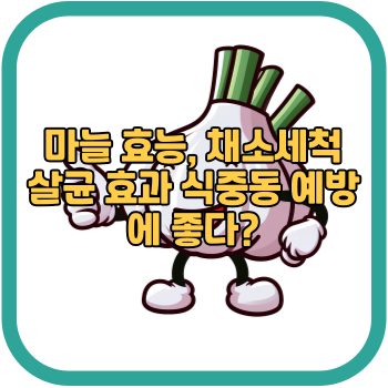 마늘 효능, 채소세척 살균 효과 식중동 예방에 좋다?