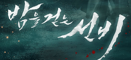 밤을 걷는 선비 포스터