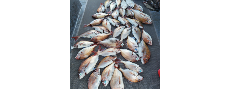 인천 옹진군 낚시용품