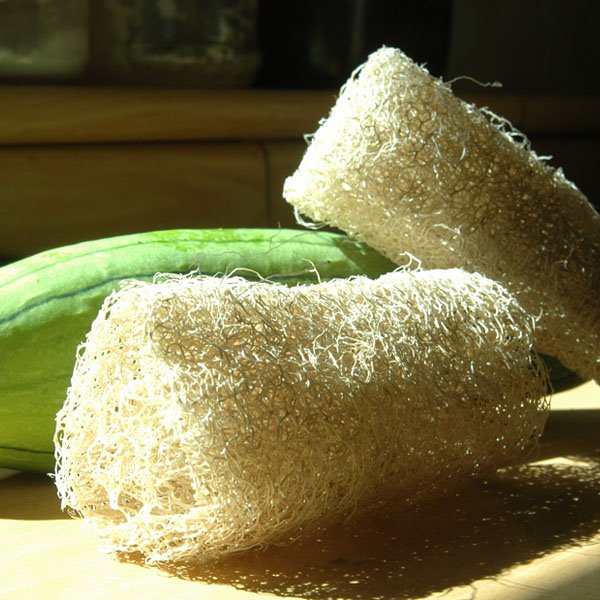 수세미박 효능 및 부작용