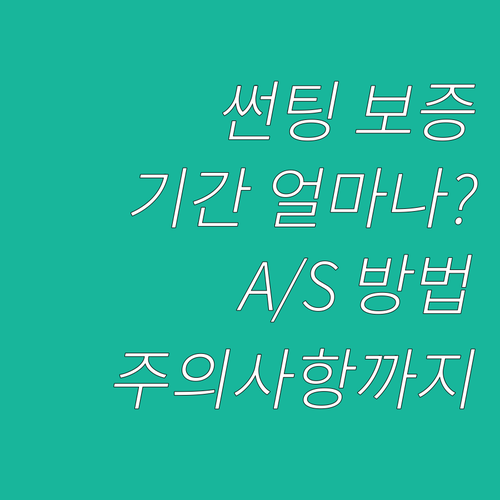 썬팅 보증 기간, 얼마나 될까? A/..