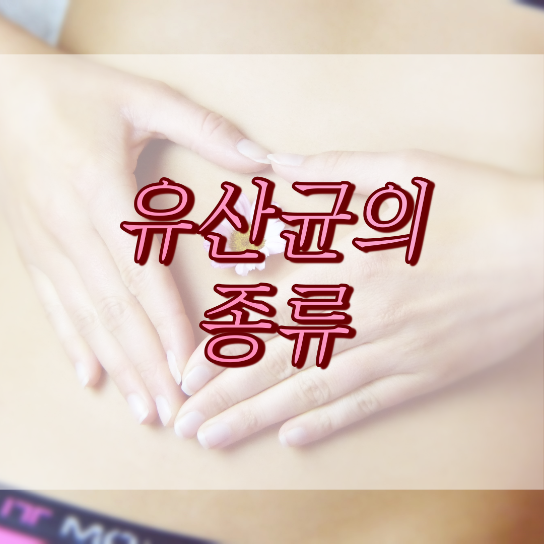 썸네일 유산균 종류