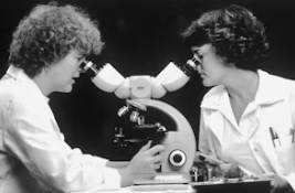 카무트효소와 카무트쌀의 효능과 먹는법