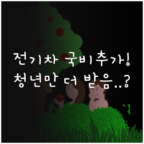 청년층 전기차 구매 지원금 국비 추가..