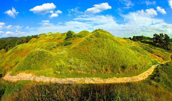 불로동고분군의-모습