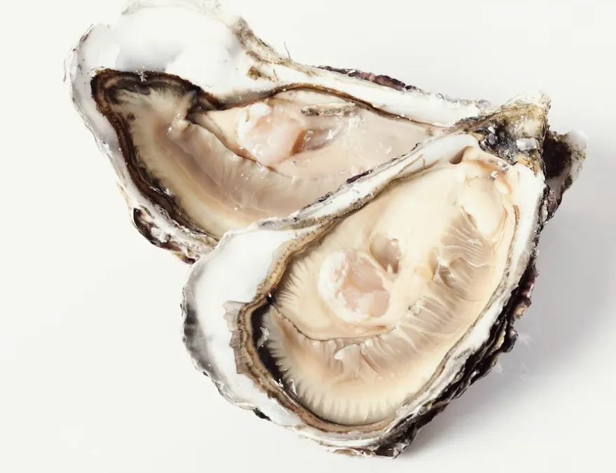 성장호르몬 분비