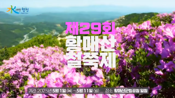 합천 황매산 철죽축제