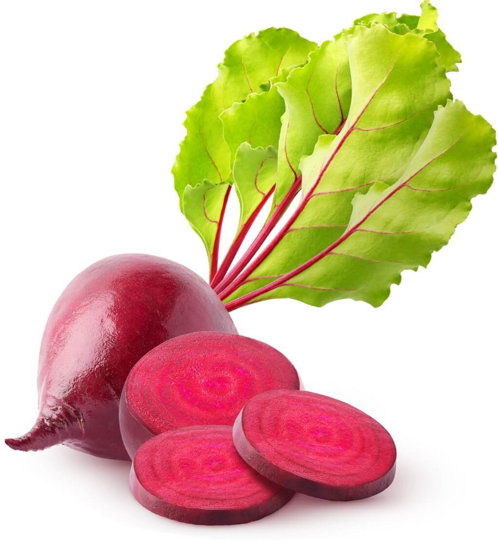 비트