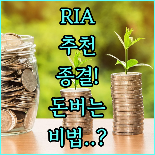 RIA 투자자문 플랫폼 추천 및 증권..