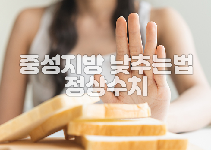 중성지방을 낮추기 위해 흰빵을 멀리하려 하고 있다