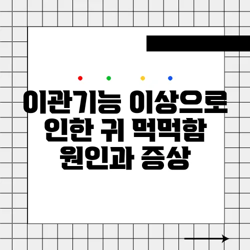 이관기능 이상으로 인한 귀 먹먹함 원인과 증상