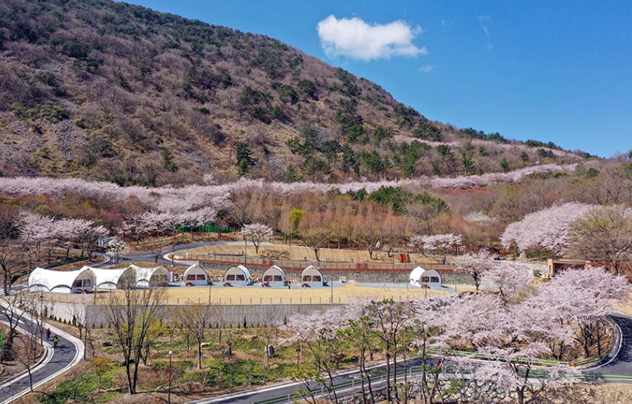 진주 월아산 자연휴양림 